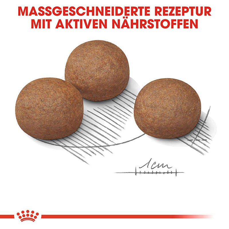 Royal Canin Digestive Care Maxi Trockenfutter für große Hunde mit empfindlicher Verdauung_4