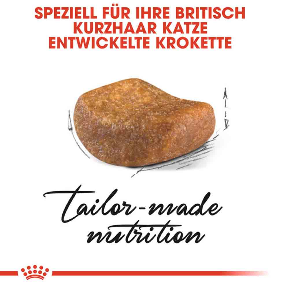 Royal Canin British Shorthair Katzenfutter trocken für Britisch Kurzhaar_4
