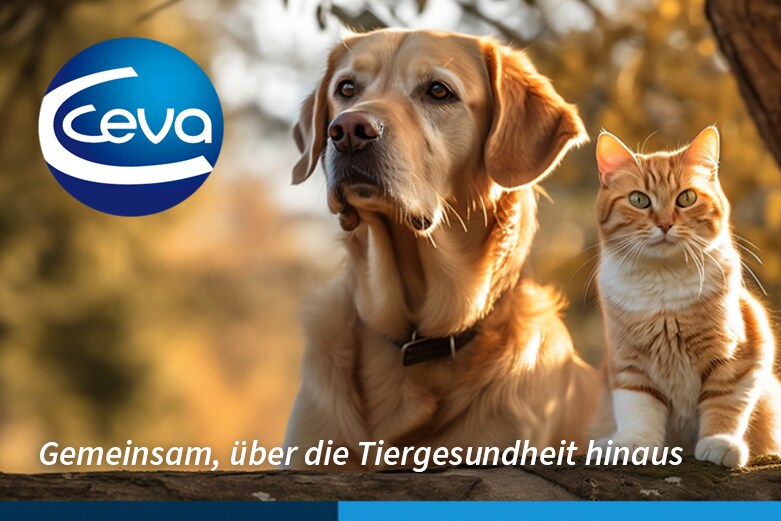 Ceva