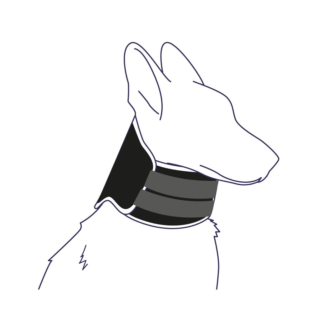 Balto Halsmanschette BT Neck Eco _3