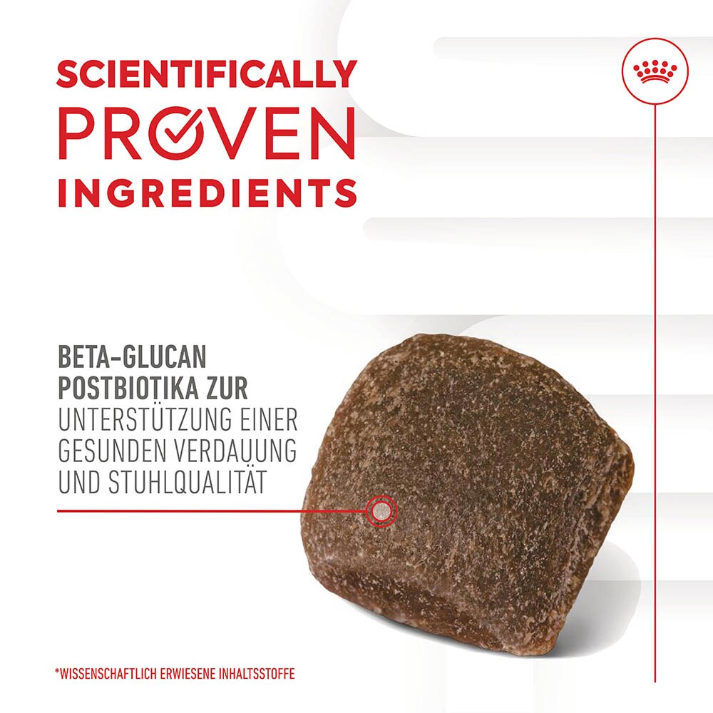 Royal Canin Digestion Chews Adult Supplements_2