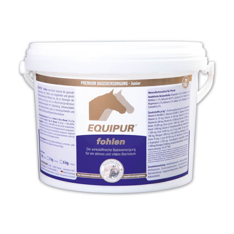 Equipur fohlen_1